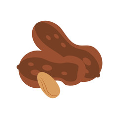 Peanuts snack food icon vector illustration graphic design