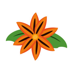 Beautiful flower isolated icon vector illustration graphic design