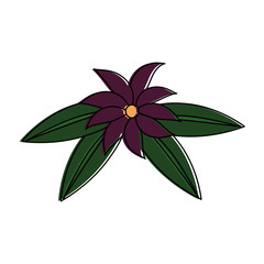 flower and leafs floral decoration vector illustration design