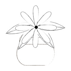 cute flower decorative in pot vector illustration design