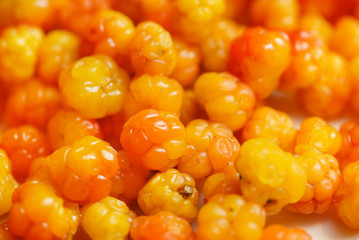 fresh and ripe cloudberry