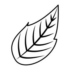 natural leaf botanical spring image vector illustration outline design