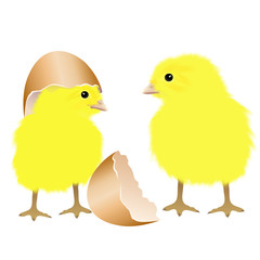 Two chicks with egg shells. Hand drawn vector illustration on white background.