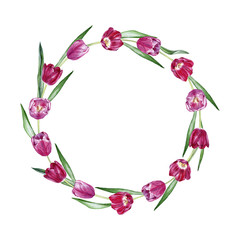 Hand drawn watercolor a wreath of tulips on white background