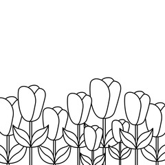 beautiful flower frame decoration ornament vector illustration