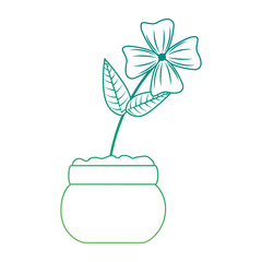cute flower decorative in pot vector illustration design