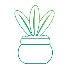 cute leafs decorative in pot vector illustration design