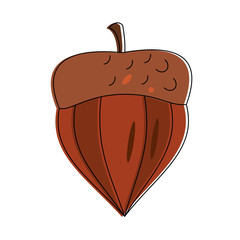 Nut food symbol icon vector illustration graphic design