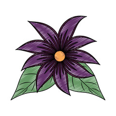 flower and leafs floral decoration vector illustration design