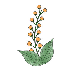 Fototapeta na wymiar cute leafs decorative icon vector illustration design