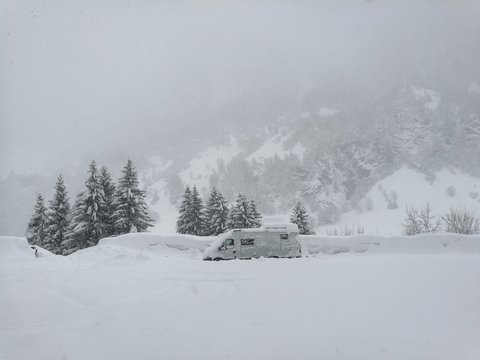 White snow