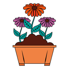 flowers in pot gardening spring decoration vector illustration