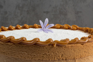 Vanilla cake withe powdered sugar and milk cream