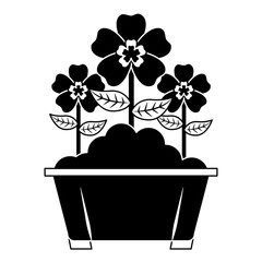 flowers in pot gardening spring decoration vector illustration
