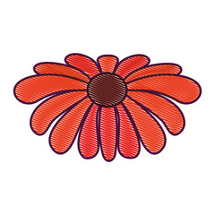flower natural decoration ornament spring icon vector illustration