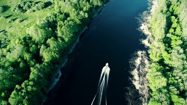 Clear water lake and green forest. Onega lake in Russia. Onejskoe ozero. Aerial drone aero.