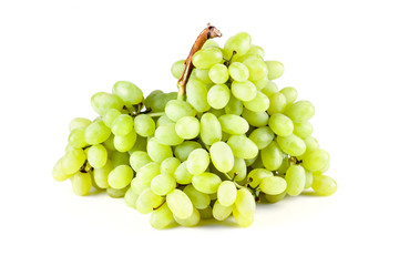 fresh green grapes