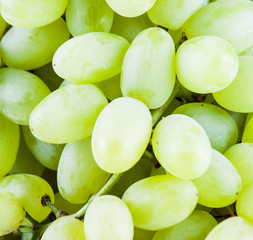 fresh green grapes