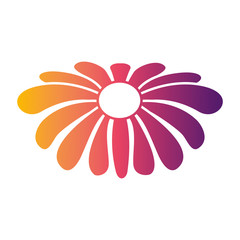 flower natural decoration ornament spring icon vector illustration