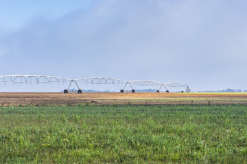 Sprinkler irrigation system in operation