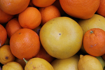 Stilleben mit Orangen