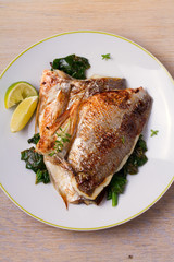 Roasted sea bream with spinach. Dorado or dorada fish fillet on white plate