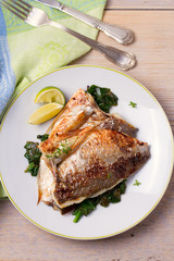 Roasted sea bream with spinach. Dorado or dorada fish fillet on white plate
