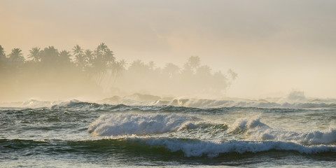 Morning seascape in Sri Lanka. Powerful breaking waves at Indian ocean shore with palm trees silhouettes on the horizon.
