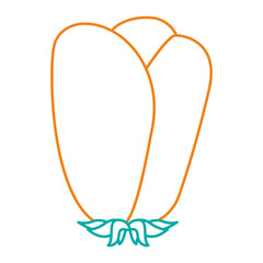 flower natural decoration ornament spring icon vector illustration color lineal design