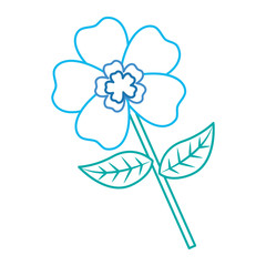 flower stem petal leaves natural spring image vector illustration color lineal design