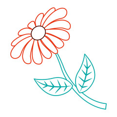 flower stem petal leaves natural spring image vector illustration color lineal design