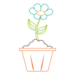 potted flower interior decoration garden spring vector illustration color line image