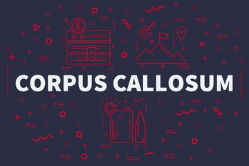 Conceptual business illustration with the words corpus callosum