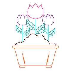 flowers in pot gardening spring decoration vector illustration color line image