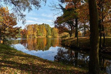 Słoneczny jesienny krajobraz - park w złotych kolorach, wodny trakt prowadzący do stawu z malowniczą wyspą, pożółkłe liście dominują w obrazie - obrazy, fototapety, plakaty