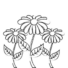 decoration three stem petal flower leaf botanical vector illustration sketch image