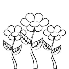 decoration three stem petal flower leaf botanical vector illustration sketch image