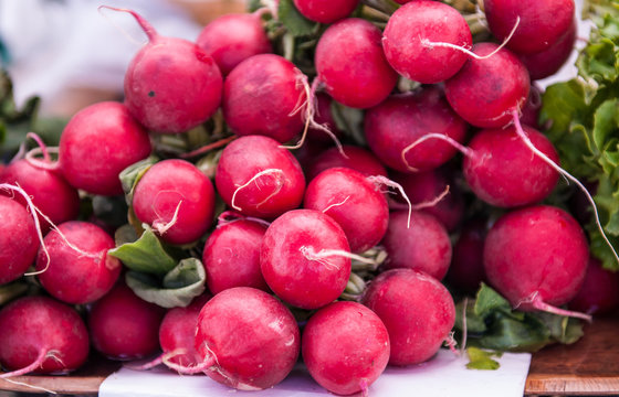 Bunch red radishes in the market