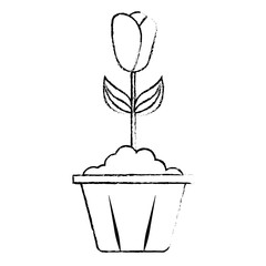 potted flower interior decoration garden spring vector illustration sketch image