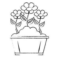 flowers in pot gardening spring decoration vector illustration sketch image