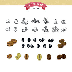 Set of vector coffee beans on white background.