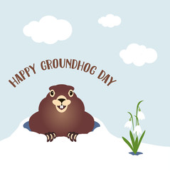 Happy groundhog day card. Holiday winter and spring banner rodent february spring flower snowdrop clouds clouds woodchuck cute shadow cartoon vector illustration, hole fun. Character animal mammal.