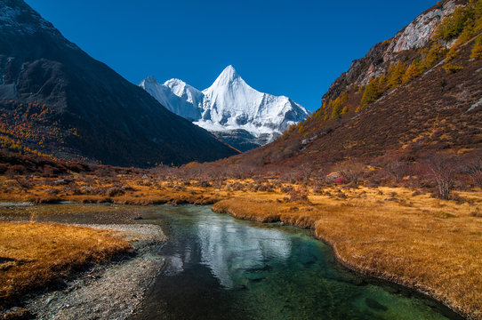 Autumn scenery in Yading Nature Reserve, Daocheng county, Ganzi Tibetan Autonomous Prefecture, Sichuan province of China. The holy peak Yangmaiyong (Jampelyang) can been seen in the background