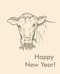 Greeting card of Bull. Simple text
