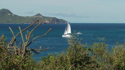White yacht sailing near coast of Mayreau island, St Vincent and the Grenadines. Green bushes on the foreground
