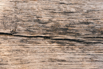 Close-up - old gray shabby wooden board surface. Background image. Conceptual wallpaper