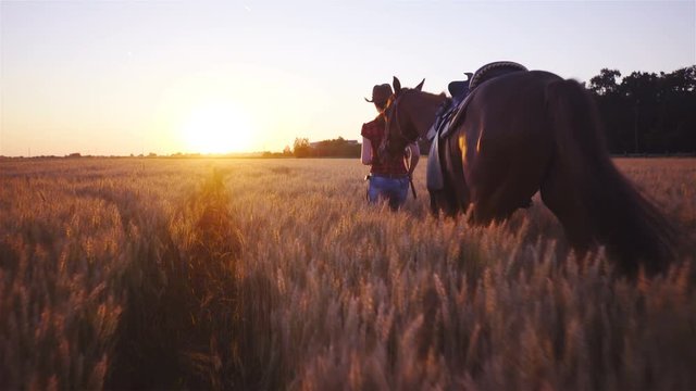 Rider and horse walk through wheat field towards the sunset 4K