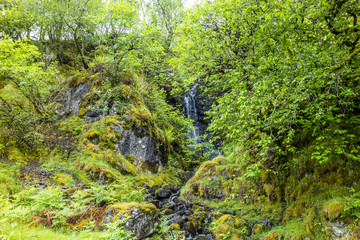 Fototapeta na wymiar Waterfall on the mountain pass between Ardchattan and Barcaldine in Argyll