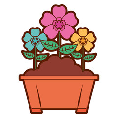 flowers in pot gardening spring decoration vector illustration