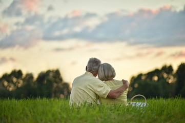 Naklejka na ściany i meble Senior couple resting at park